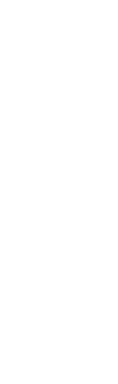 MINIMUM FINANCING AMOUNT: MAXIMUM FINANCING AMOUNT: TENANT RATING or FINANCIALS:  LEASE TERM: LOAN-TO-COST:   DEBT COVERAGE (min.): LOAN-to-VALUE: AMORTIZATION: LOAN TERM: FIXED RATES: POINTS: RECOURSE: 